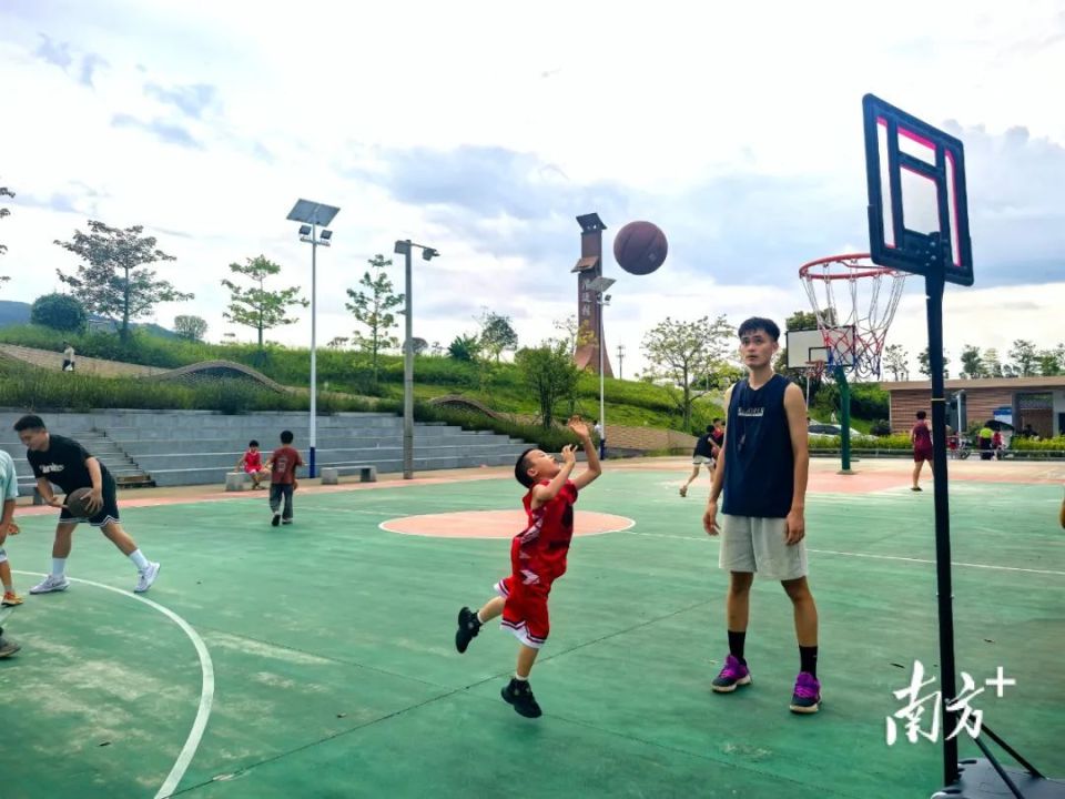 而是天天缠, 日报APP