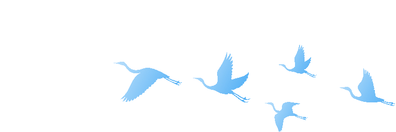 displ, 的话语中充